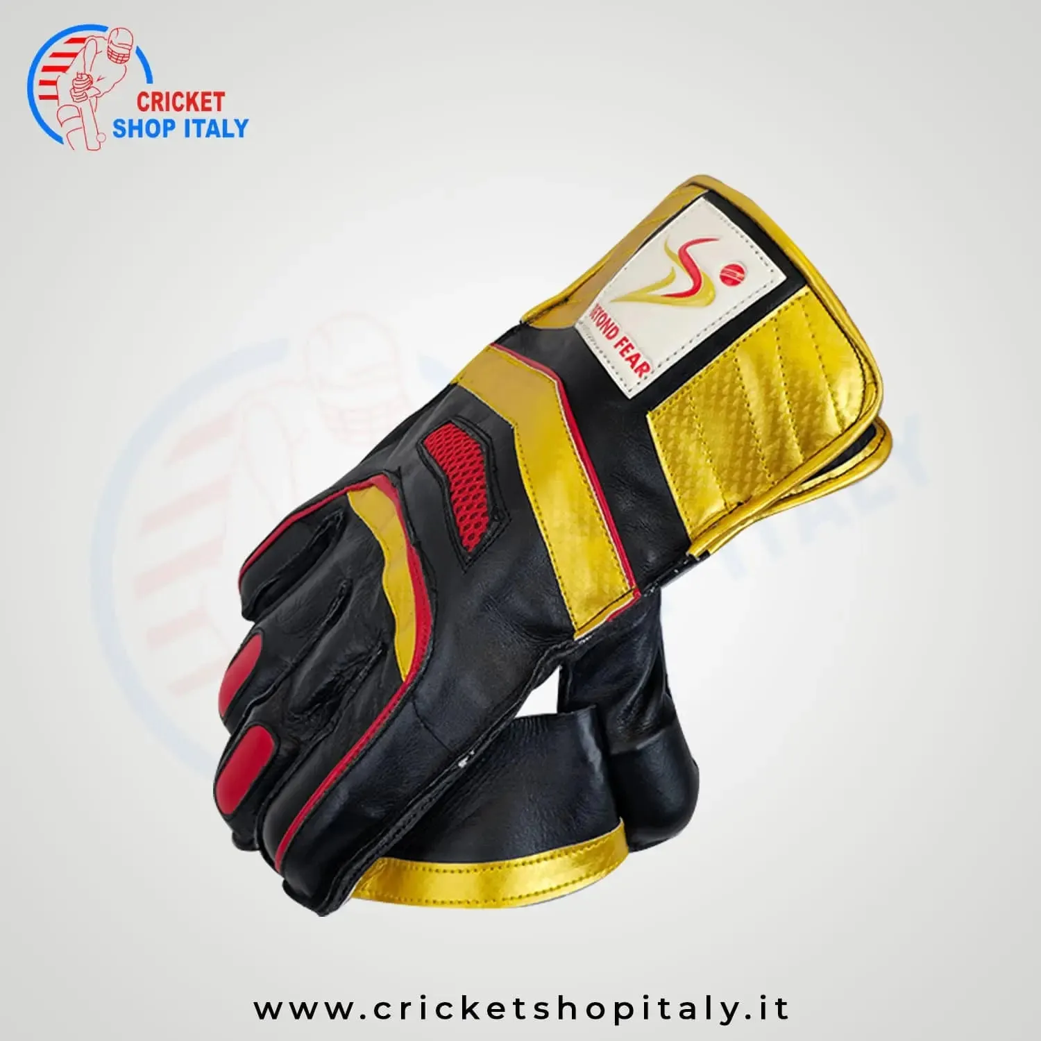 DS 1.0 Wicket Keeping Gloves