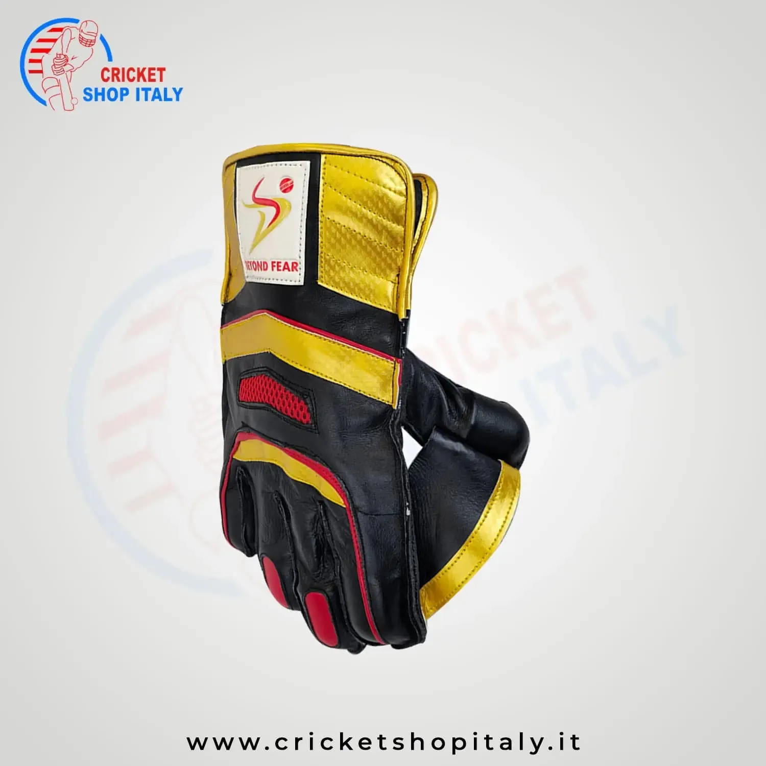 DS 1.0 Wicket Keeping Gloves