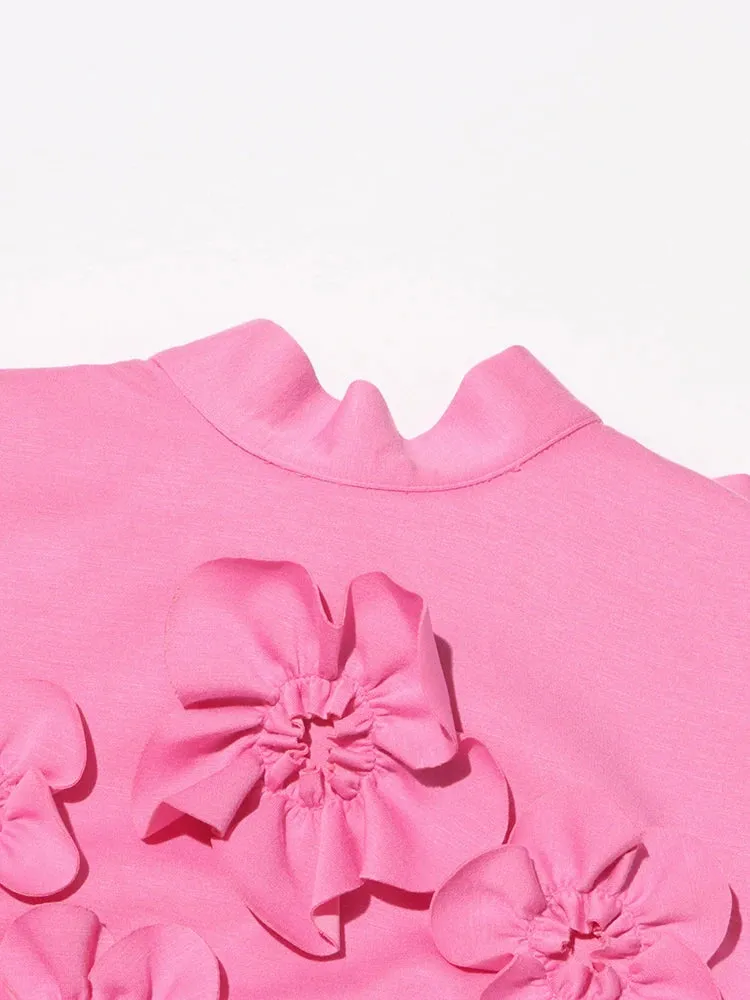 Odele Flower Appliques Mini Dress