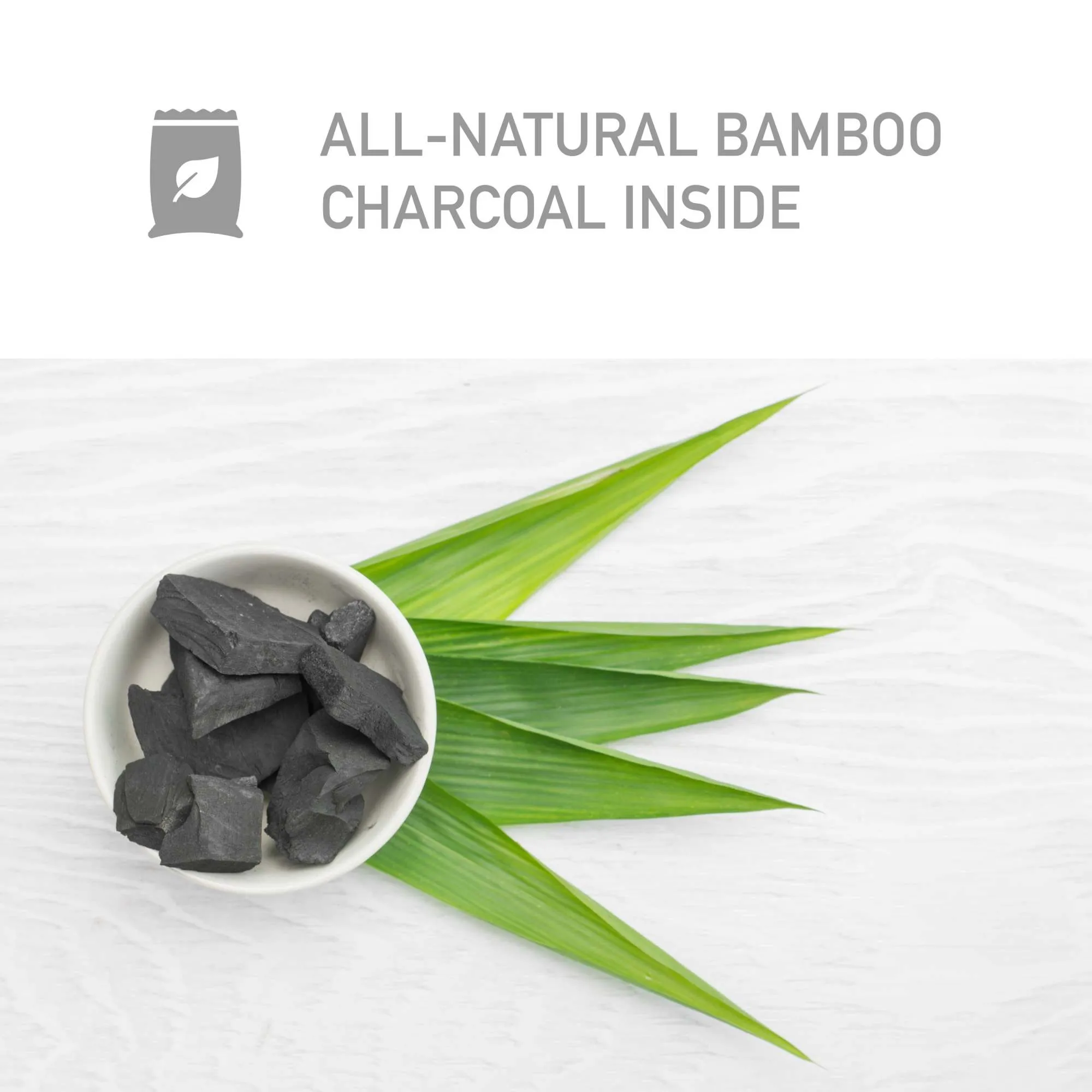 PureGuardian CB200 Bamboo Charcoal 200g Air Purifying Bag