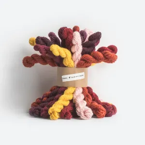Woolstok Mini Hank Bundle (100% wool) - Warm